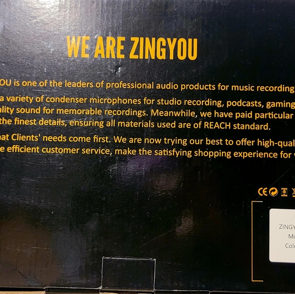 Condenser Microphone - Picture 2 of 3